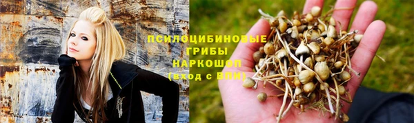 трава Богородск