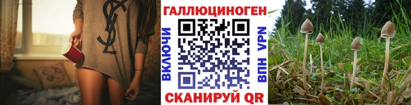 Галлюциногенные грибы GOLDEN TEACHER  магазин продажи наркотиков  Мезень 